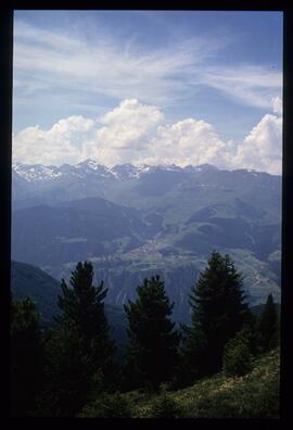 Landschaft im Sommer