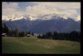 Landschaft im Sommer