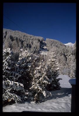 Landschaft im Winter