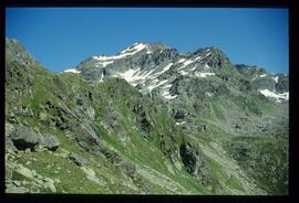 Landschaft im Sommer