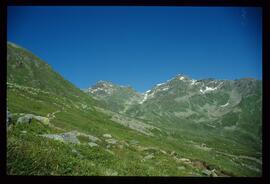 Landschaft im Sommer