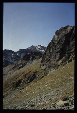 Landschaft im Sommer