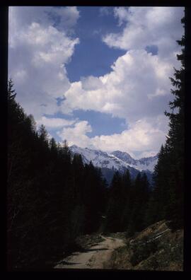 Landschaft im Sommer