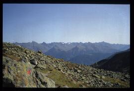 Landschaft im Sommer
