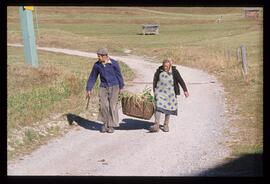 Auf dem Feld