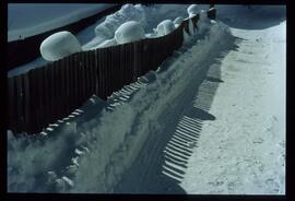 Zweige mit Schnee und Raureif
