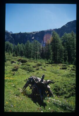 Landschaft, Wandern