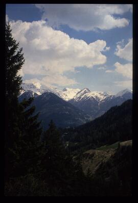 Landschaft im Sommer