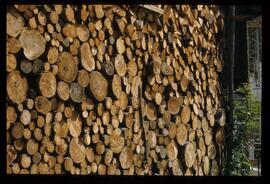 Holzstapel