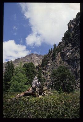 Landschaftsaufnahme