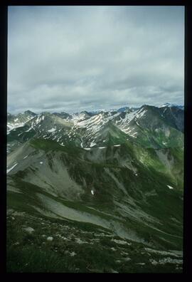 Landschaft im Sommer