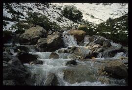 Landschaft im Sommer