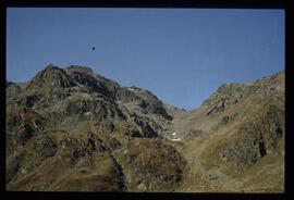 Landschaft im Sommer