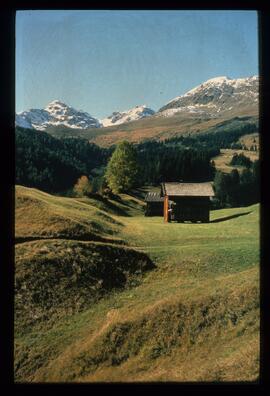 Landschaft im Sommer