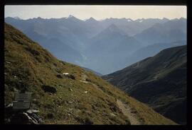 Landschaft im Sommer