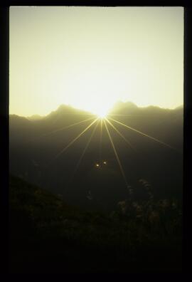 Sommer