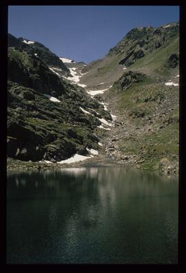 Landschaft im Sommer