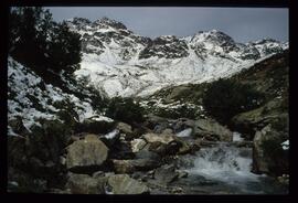 Landschaft im Sommer