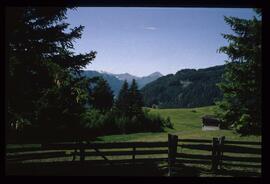 Landschaft im Sommer