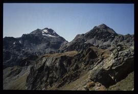 Landschaft im Sommer