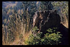 Landschaft, Wandern