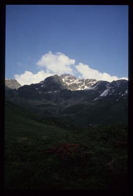 Landschaft im Sommer