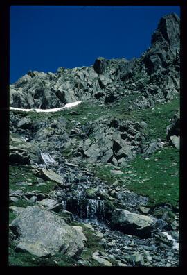 Landschaft im Sommer