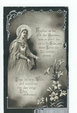 Elisabeth Schwarz 