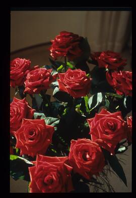 Blumen