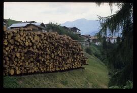 Holzstapel