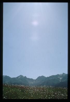 Sommer
