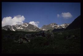 Landschaft im Sommer