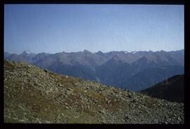 Landschaft im Sommer