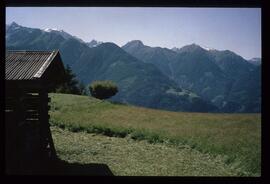 Landschaft im Sommer