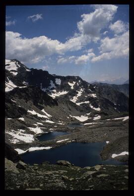 Landschaft im Sommer