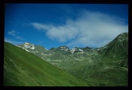 Landschaft im Sommer