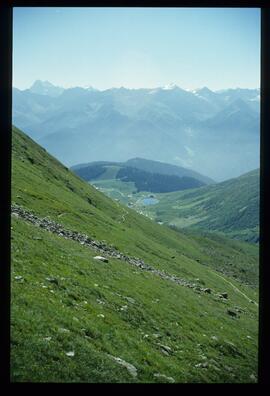 Landschaft im Sommer