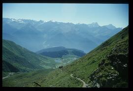 Landschaft im Sommer