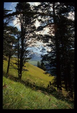 Landschaftsaufnahme