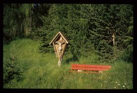 Landschaft im Sommer