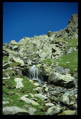 Landschaft im Sommer