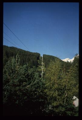 Landschaft im Sommer