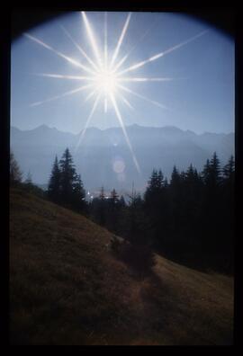 Sommer