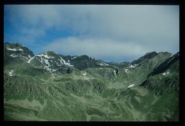 Landschaft im Sommer