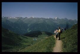 Landschaft im Sommer