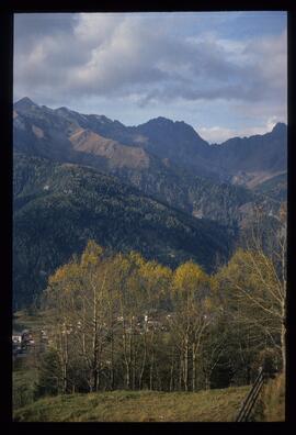 Landschaft im Sommer