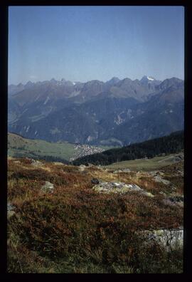 Landschaft im Sommer