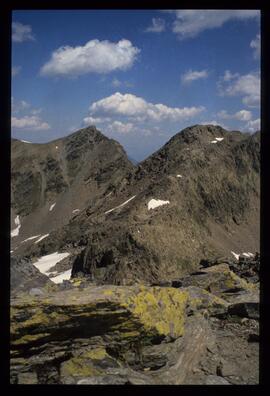 Landschaft im Sommer