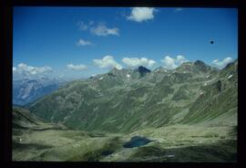 Landschaft im Sommer