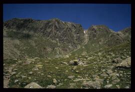 Landschaft im Sommer